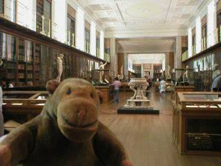 Mr Monkey in the King's Library at the British Museum