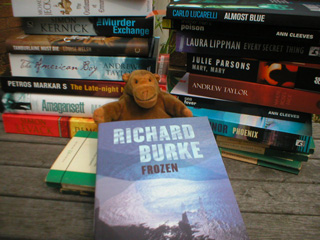 Mr Monkey with a large pile of crime fiction