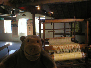 Mr Monkey in front of a handloom