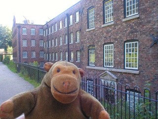 Mr Monkey walking beside the mill
