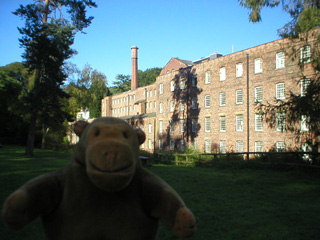 Mr Monkey in a field, looking at the mill