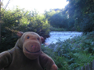 Mr Monkey looking at the weir