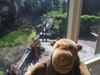Mr Monkey looking out of a window at the garden