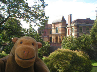 Mr Monkey looking at the palace from a distance