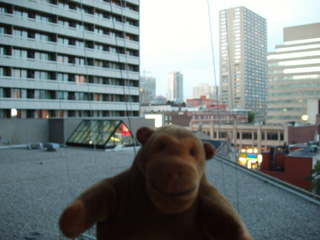 Mr Monkey looking from his hotel balcony