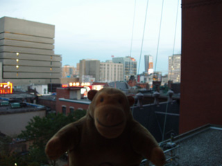 Mr Monkey looking his hotel balcony