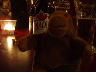 Mr Monkey in front of a bottle of Molson Canadian