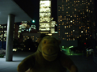 Mr Monkey in Nathan Philip Square