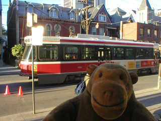 Mr Monkey looking at a Toronto streetcar