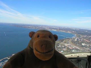 Mr Monkey looking towards Humber Bay