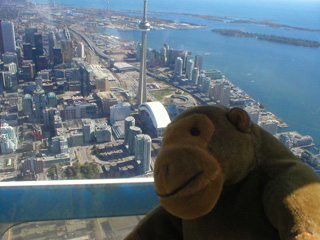 Mr Monkey looking at the CN Tower