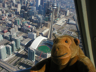 Mr Monkey looking down at the Skydome