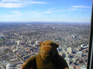 Mr Monkey looking across Toronto from the CN Tower