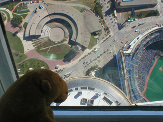Mr Monkey looking out of the Skypod