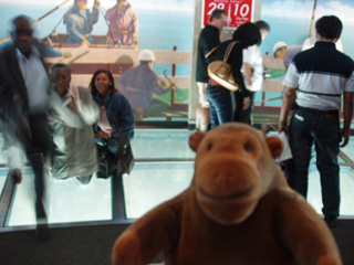 Mr Monkey watching humans walking on the glass floor