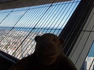 Mr Monkey looking at Toronto through a grille
