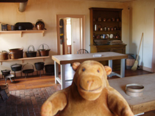 Mr Monkey in the mess kitchen