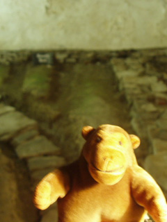 Mr Monkey in front of a recently excavated floor