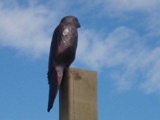 Close up of the bird on the pole statue