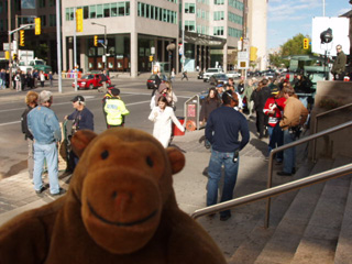 Mr Monkey looking at a film crew outside Union Station