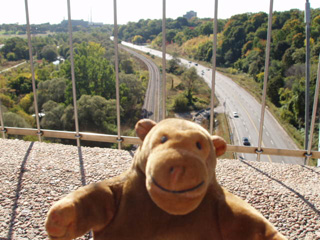 Mr Monkey looking off the Prince Edward Viaduct