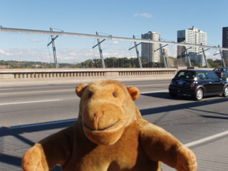 Mr Monkey on the Prince Edward Viaduct