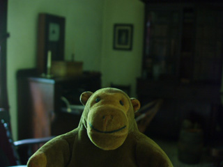 Mr Monkey in the Helliwell drawing room