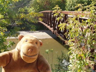 Mr Monkey scampering across a bridge