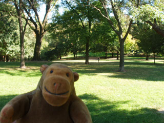 Mr Monkey in Wellesley Park
