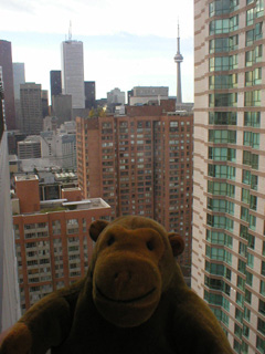 Mr Monkey looking across the financial district from the 27th floor of the Delta Chelsea