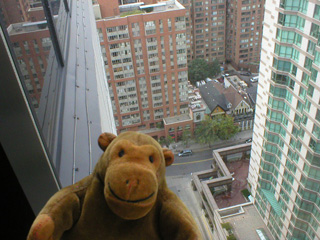 Mr Monkey looking down from the 27th floor of the Delta Chelsea