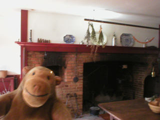 Mr Monkey in the Campbell House kitchen