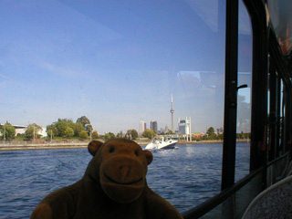 Mr Monkey looking at an overtaking speedboat