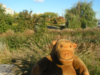 Mr Monkey at the top of the Courante mound