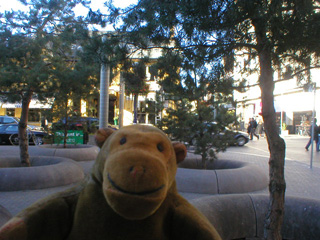 Mr Monkey with some trees on Bay Street