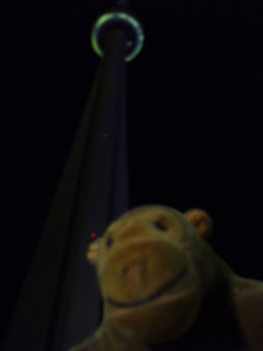 Mr Monkey beneath the CN Tower after dark