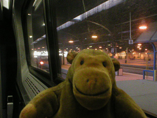 Mr Monkey looking out of the train window
