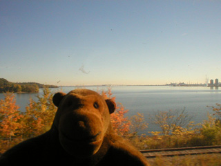 Mr Monkey looking at Hamilton from the train