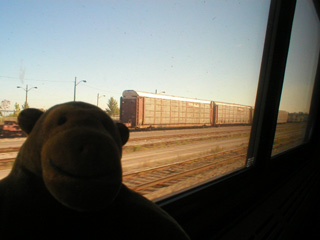 Mr Monkey looking at some boxcars in a siding