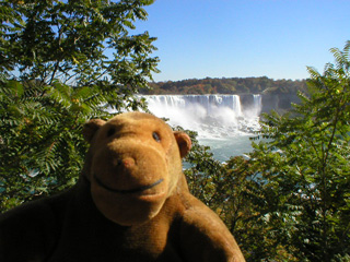 Mr Monkey looking at the American Falls through some trees