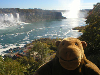 Mr Monkey looking at the American Falls