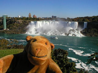 Mr Monkey looking up the river to the Horseshoe Falls