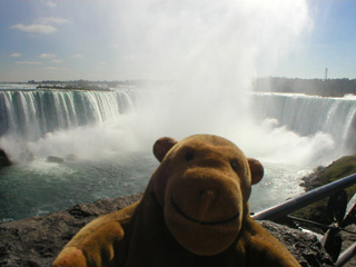 Mr Monkey looking at the Horseshoe Falls