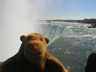Mr Monkey watching water go over the edge of the Horseshoe Falls
