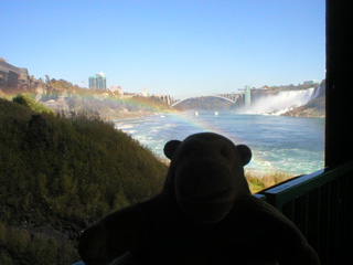 Mr Monkey looking upriver from the base of the Horseshoe Falls