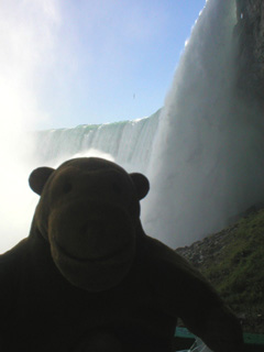 Mr Monkey looking at the Horseshoe Falls from below