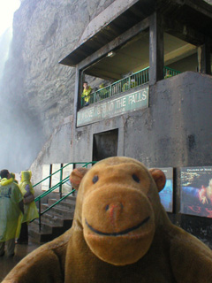 Mr Monkey looking Behind the Falls observation platforms
