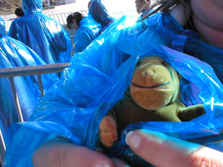 Mr Monkey covered by Miss Carol's plastic poncho