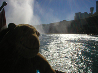 Mr Monkey looking back at the Horseshoe Falls, without his plastic bag