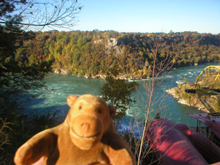 Mr Monkey looking across the the river